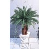 گیاه سیکاس مصنوعی